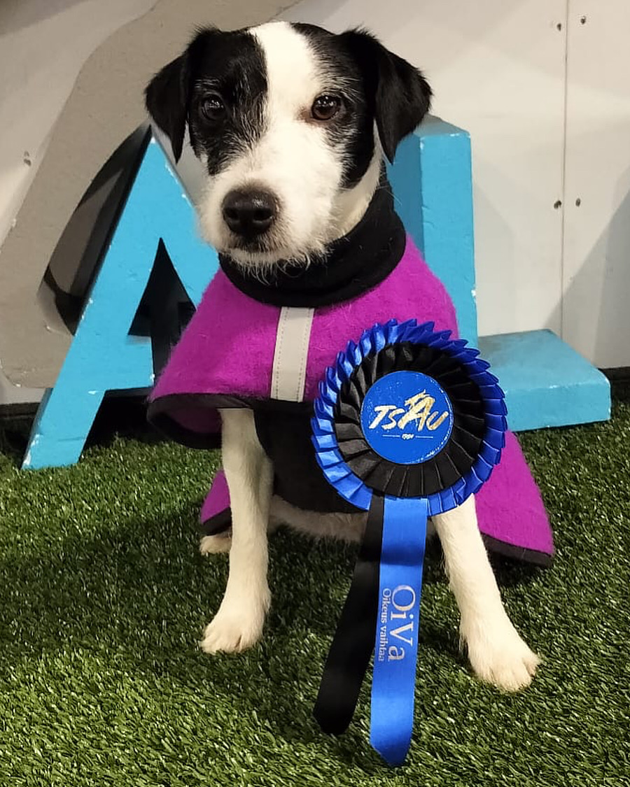 Tammenkolon Arwen ”Aida”