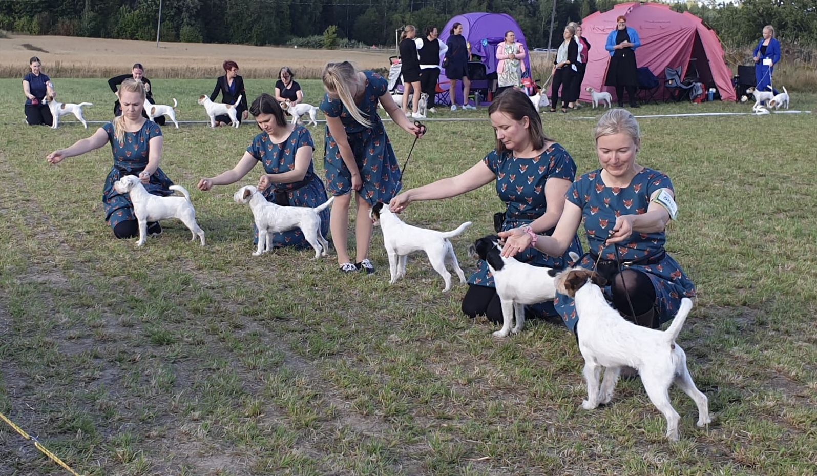 Tammenkolon Unimogin jälkeläisryhmä